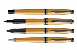 2119260 Waterman Expert Шариковая ручка   Gold, цвет чернил Mblue,  в подарочной упаковке