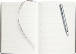 S08311105.101320 Waterman Perspective Подарочный набор:Шариковая ручка   Silver CT и Ежедневник Brand недатированный черный