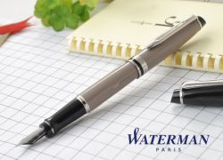 S0952140 Waterman Expert Перьевая ручка   3, цвет:  Taupe CT перо: F